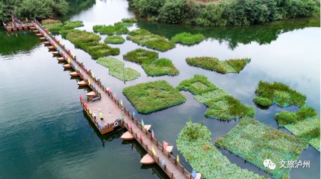 四川省第二批全国乡村旅游重点村名单公布，纳溪区凤凰湖村上榜！(图2)