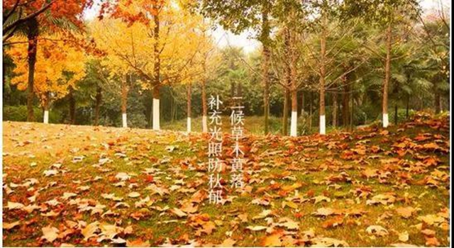 【霜降】明天起，火锅、烧烤、串串不要吃了！(图3)