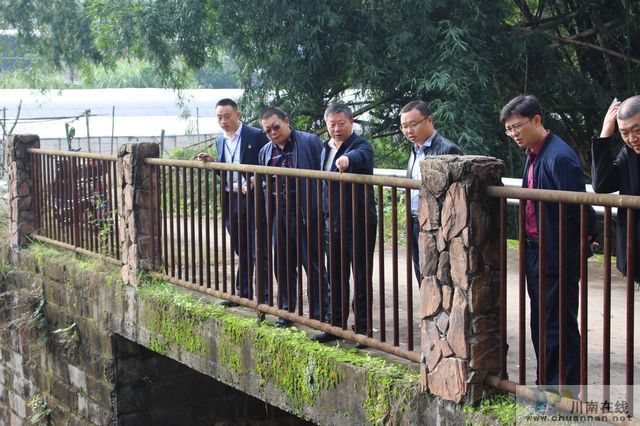 县委常委、县总工会主席杨双全到玉蟾街道督导小鹿溪河河长制工作(图2)