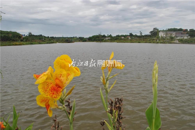 想不到，内江竟然藏着一座“康桥”(图6)