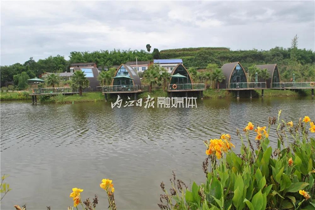 想不到，内江竟然藏着一座“康桥”(图5)