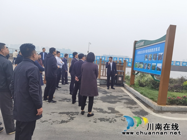 国家推长办到龙马潭区罗汉街道老鹰丘市政排口开展调研(图2)