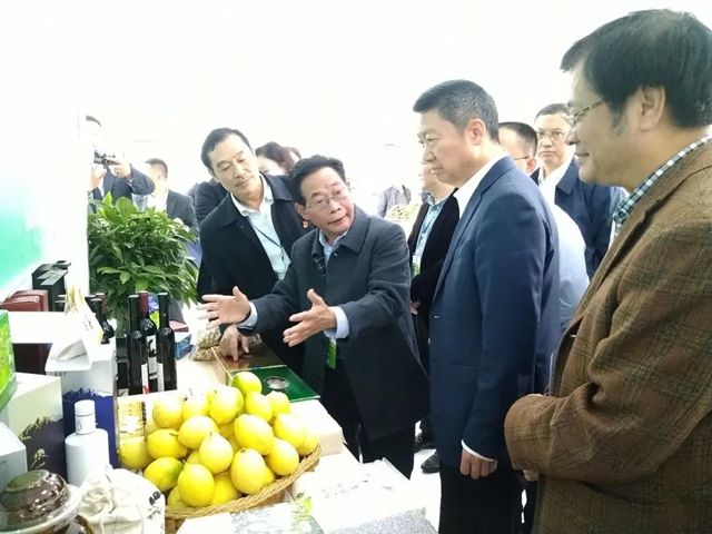 上下联动推动乡贤工作上台阶(图7)