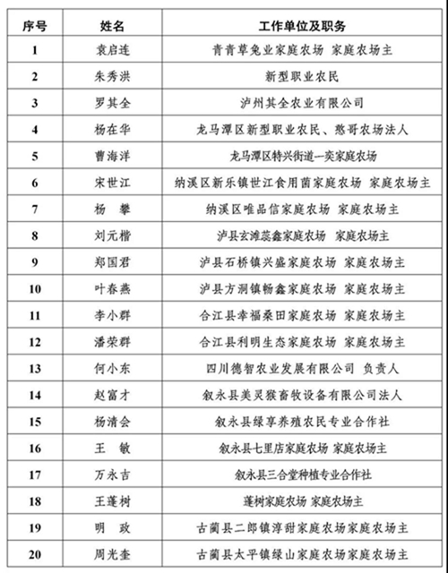 公示丨泸州市2020年度“酒城英才”拟入选名单出炉！(图7)