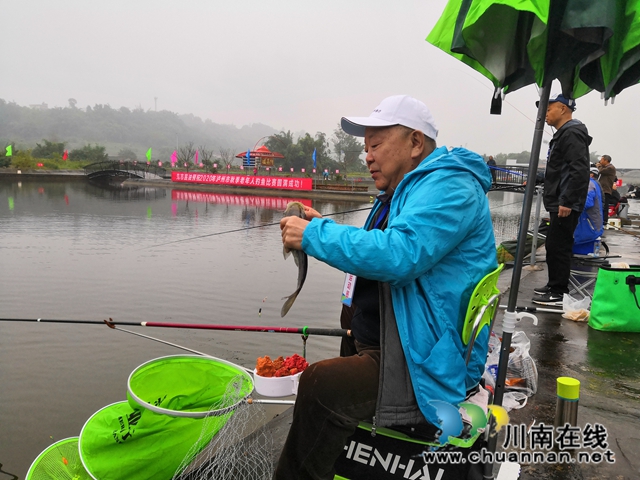 泸州市老年人钓鱼比赛圆满“收杆”(图4)