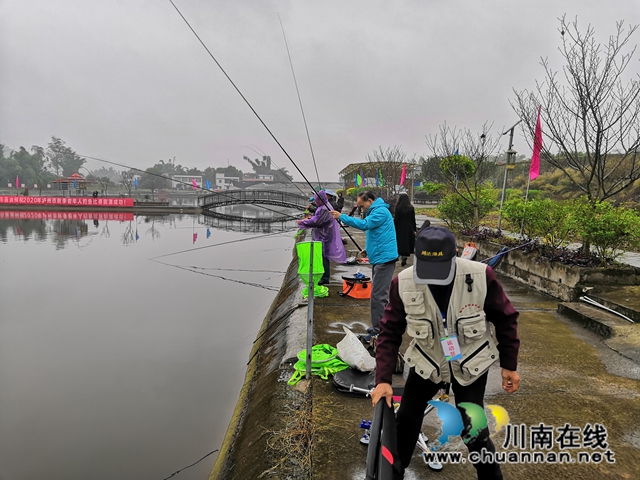 泸州市老年人钓鱼比赛圆满“收杆”(图2)