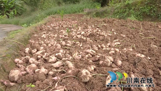 合江脱贫榜样李成结：七旬老人的幸福小康(图5)