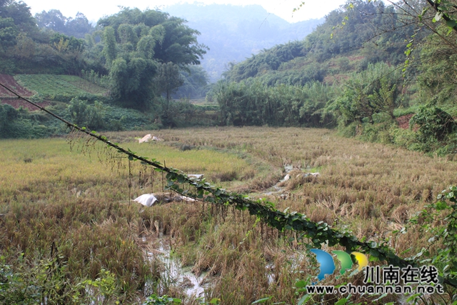 纳溪：相邻通行起纠纷，多元调解化纷争(图2)