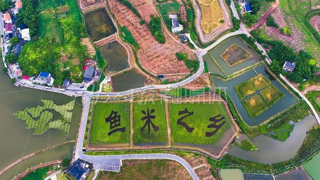 打破纪录！内江4个科技项目入围省级科技大奖