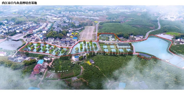 打破纪录！内江4个科技项目入围省级科技大奖(图3)
