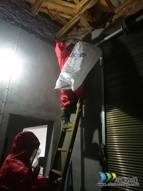 马蜂威胁群众安全 泸县龙城救援队为民排忧(图5)