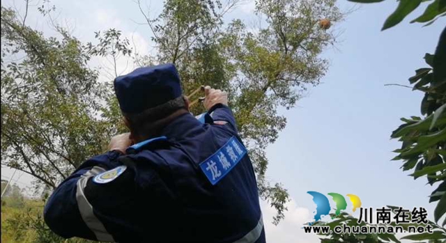 马蜂威胁群众安全 泸县龙城救援队为民排忧(图4)