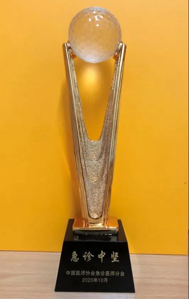全国仅10人！西南医大附院刘英副教授荣获“急诊中坚”称号(图3)