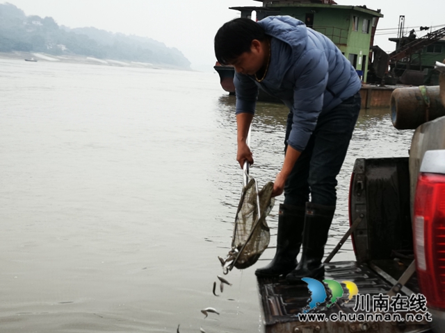 合江、江津两地法院联合开展环资司法宣传活动(图3) 合江、江津两地法院联合开展环资司法宣传活动(图3)