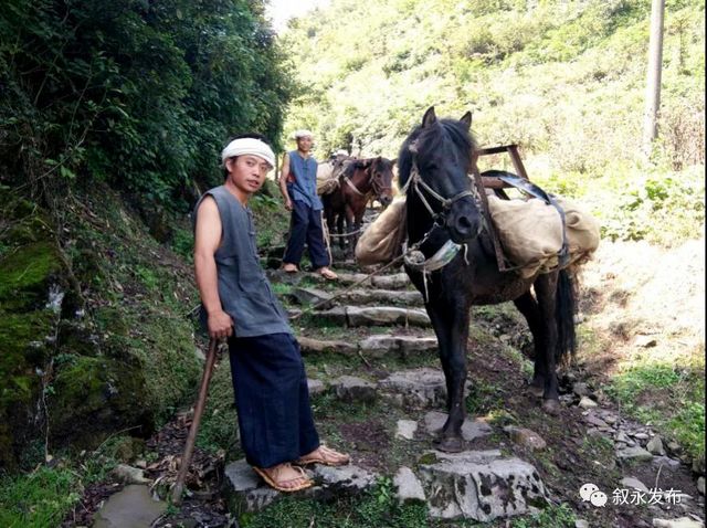 省级新名片！叙永摩尼被命名为“云上古道·康养小镇”(图3)