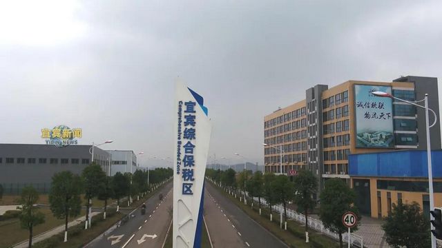 祝贺！宜宾综合保税区通过预验收(图3)