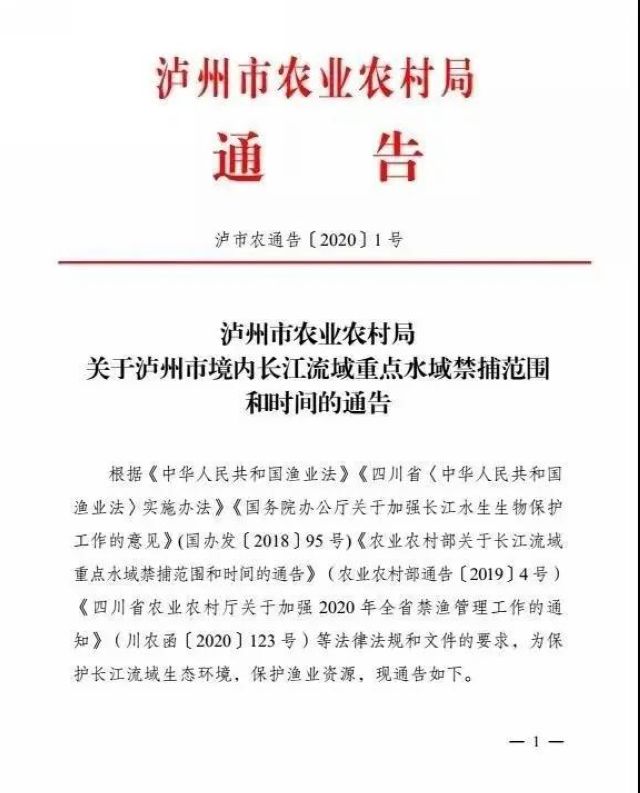 泸州：一夜电翻近400斤鱼，这两弟兄遭了(图1)