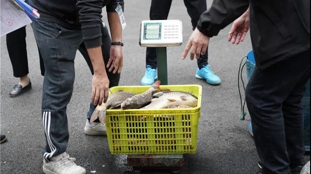 泸州：一夜电翻近400斤鱼，这两弟兄遭了(图5)