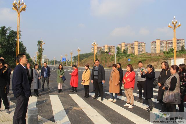 泸县云龙镇开展2020年人大代表调研活动(图1) 泸县云龙镇开展2020年人大代表调研活动(图1)