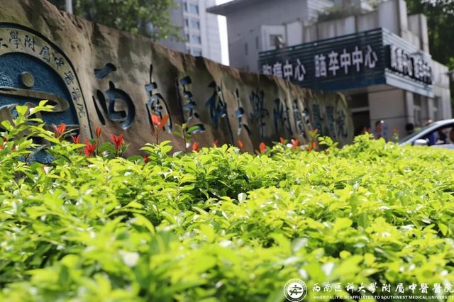 西南医大中医院冬季“宠儿”闪亮登场！(图7)