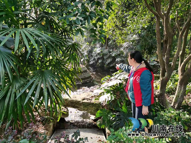 江阳区华阳街道：发挥网格力量 开展禁种铲毒(图1)