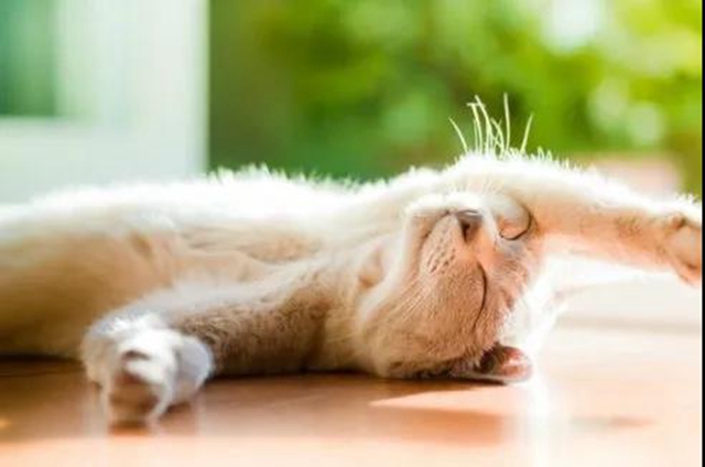 【围观】毒蛇不冬眠？泸州2人被偷袭入院……(图2)