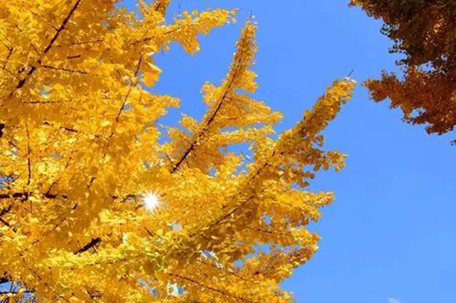 【围观】毒蛇不冬眠？泸州2人被偷袭入院……(图8)