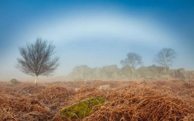 【围观】毒蛇不冬眠？泸州2人被偷袭入院……(图9)