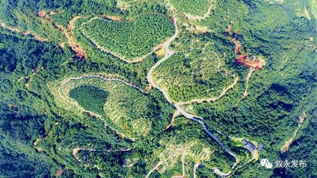 叙永5个丨首批省级竹林人家揭晓，泸州7个地方上榜(图1)