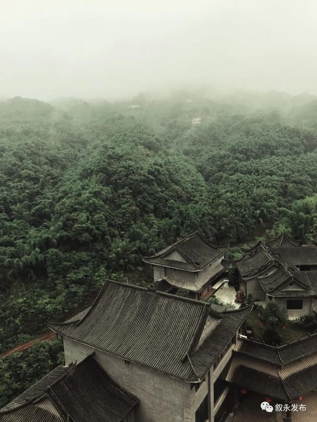 叙永5个丨首批省级竹林人家揭晓，泸州7个地方上榜(图6)