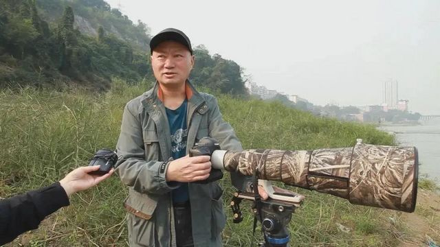 惊呆了！内江惊现这么多珍稀鸟类——(图6)