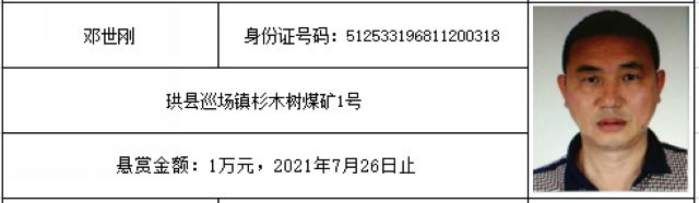 龙马潭区人民法院执行悬赏暨督促自首公告（2020年第237期）(图2)