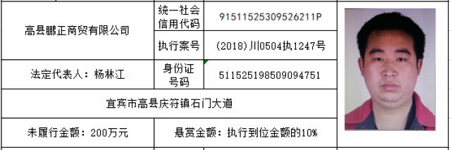 龙马潭区人民法院执行悬赏暨督促自首公告（2020年第237期）(图3)