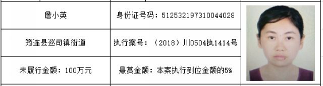 龙马潭区人民法院执行悬赏暨督促自首公告（2020年第237期）(图4)