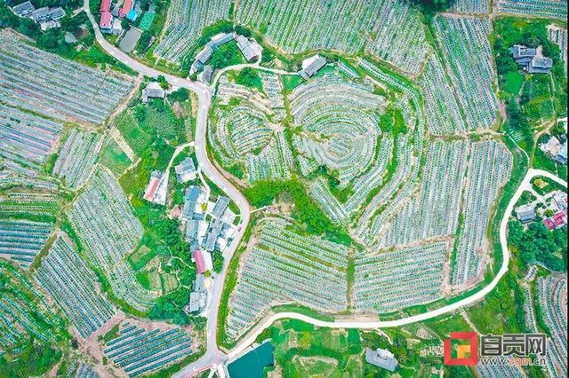 美了美了！自贡首个“四川特色气候小镇”得名“云林”(图7)