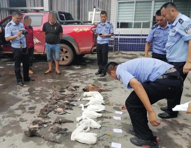 震怒！泸州夫妻野外“射鸟”，被群众拍下……(图4)