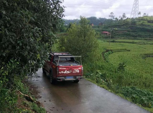 震怒！泸州夫妻野外“射鸟”，被群众拍下……(图5)