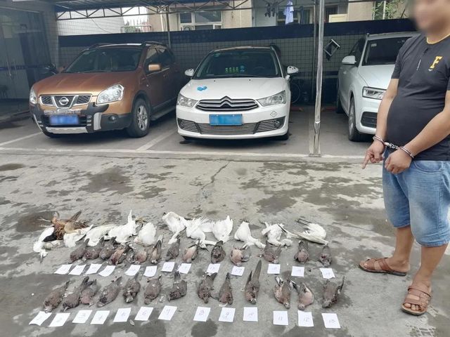 震怒！泸州夫妻野外“射鸟”，被群众拍下……(图10)