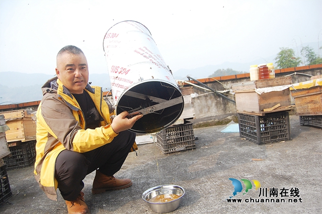 纳溪：“与蜂共舞”十八载，鞋匠变身“养蜂达人”(图4)