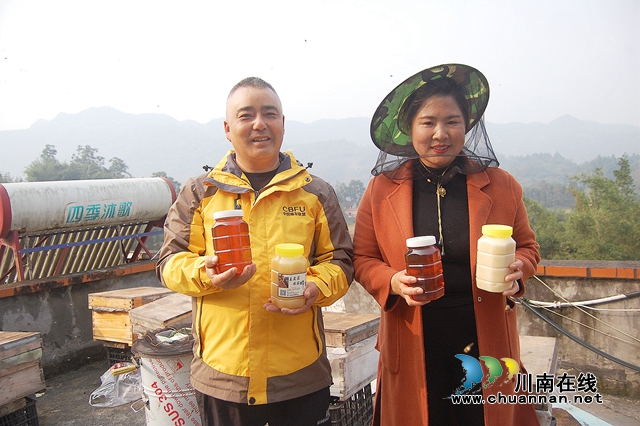 纳溪：“与蜂共舞”十八载，鞋匠变身“养蜂达人”(图5)