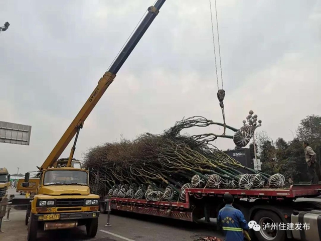 泸州将在这四条景观大道上做“文章”