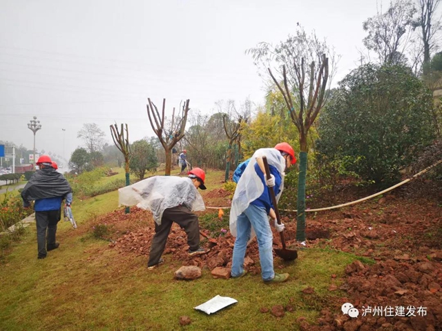 泸州将在这四条景观大道上做“文章”(图5)