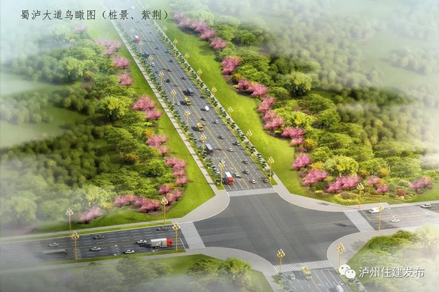 泸州将在这四条景观大道上做“文章”(图6)
