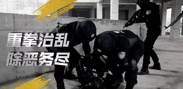 重磅发布！泸州公安查封冻结扣押涉黑资产超41亿元(图17)