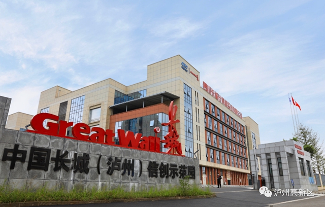 泸州高新区召开干部大会，张程任党工委副书记、管委会主任(图6)