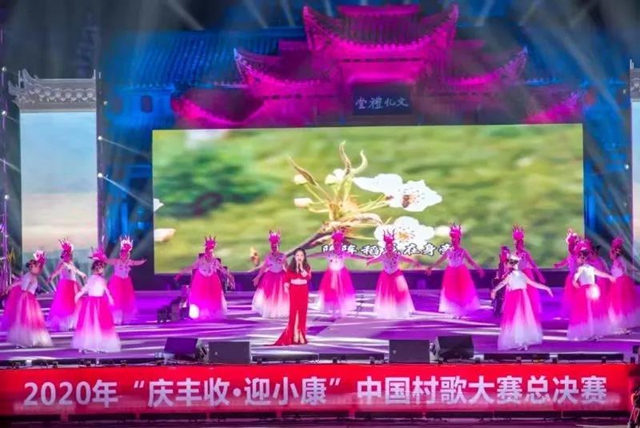 真没想到！内江这个村一首歌唱红全国(图4)