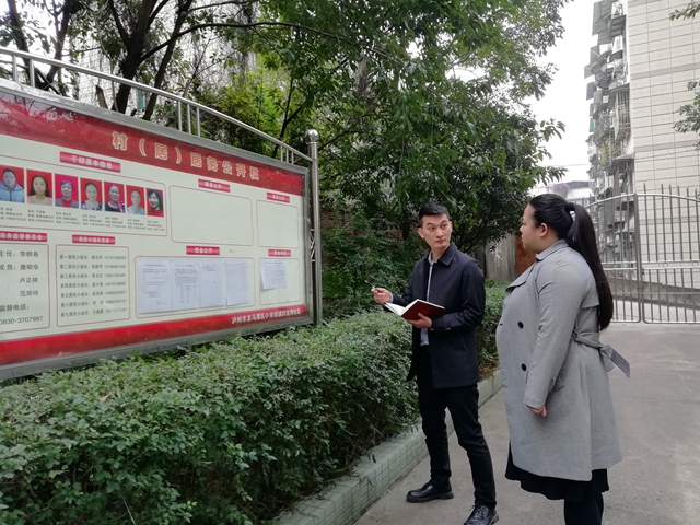 龙马潭区小市街道开展居务公开专项检查(图2)