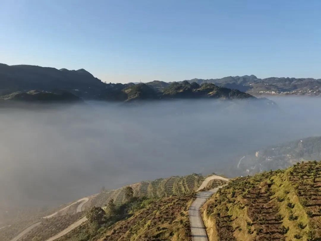 初冬，来古蔺赴一场云海大观之约！(图9)