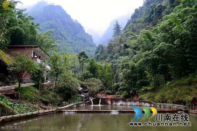 山涧溪流活源头，桫椤树下鱼儿游！贵州“赤摆摆”高山冷水鱼品质看得见(图5)