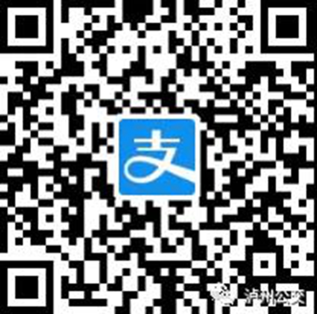 绿色出行 你我同行丨支付宝邀您1分钱乘泸州公交！(图1)